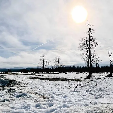 Lejlighed Staycozy Bike&ski Apartments, Eigener Fahrrad- Und Skikeller, Barrierefrei, Erdgeschoss Winterberg