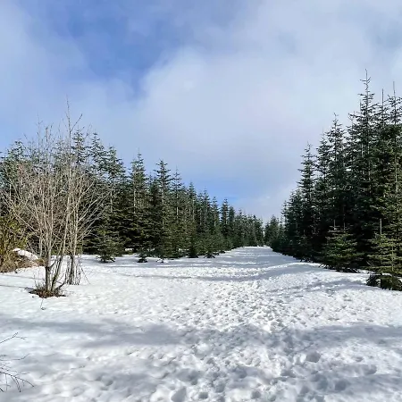 Staycozy Bike&ski Apartments, Eigener Fahrrad- Und Skikeller, Barrierefrei, Erdgeschoss 公寓 *