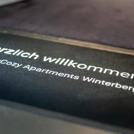 Staycozy Bike&Ski Apartments, Carport Fuer Fahrrad, Motorrad, Ski, Barrierefrei, Erdgeschoss