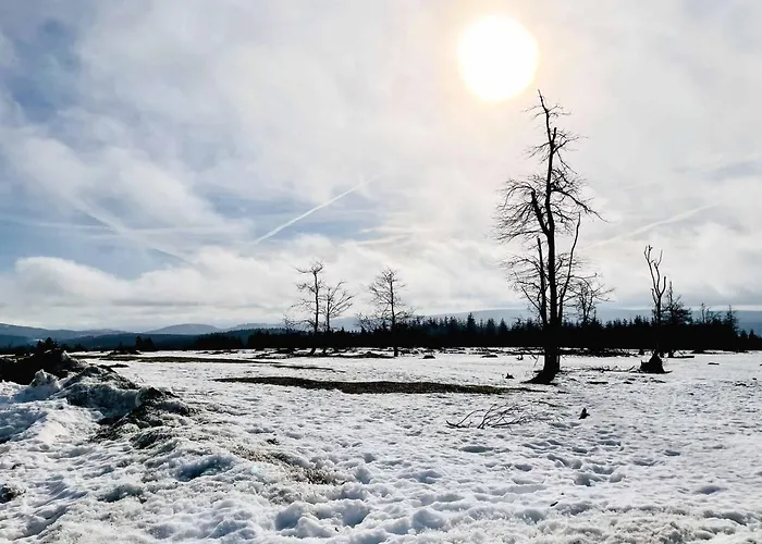 Lägenhet Staycozy Bike&ski Apartments, Eigener Fahrrad- Und Skikeller, Barrierefrei, Erdgeschoss Winterberg