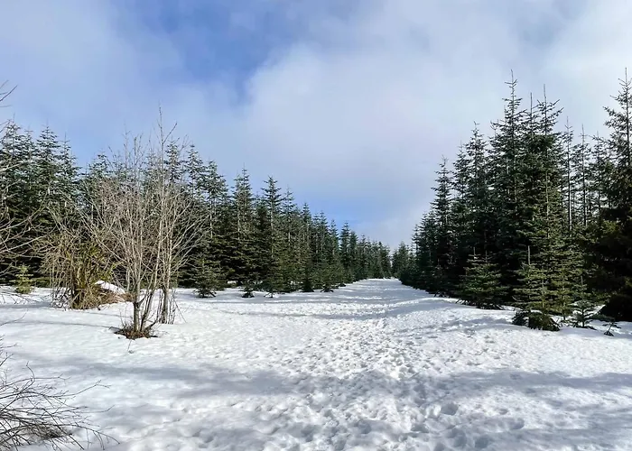 Staycozy Bike&ski Apartments, Eigener Fahrrad- Und Skikeller, Barrierefrei, Erdgeschoss דירה *